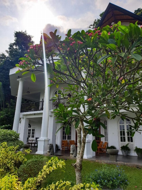 Samindra Villa image 19